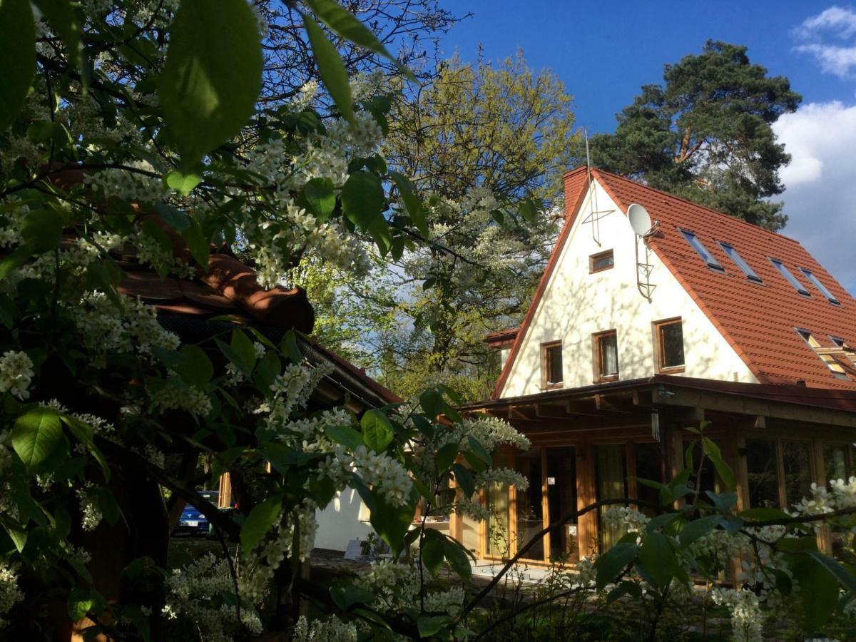 Willa Danusia Milanowek Exterior foto